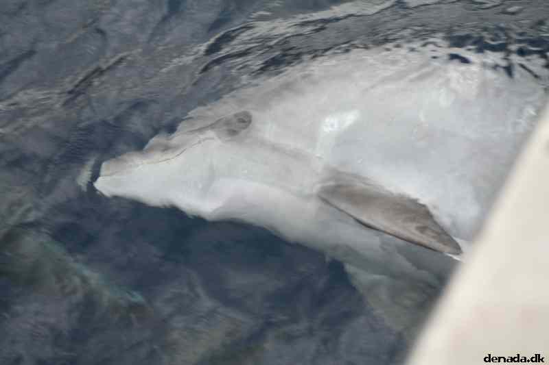 * Image 113