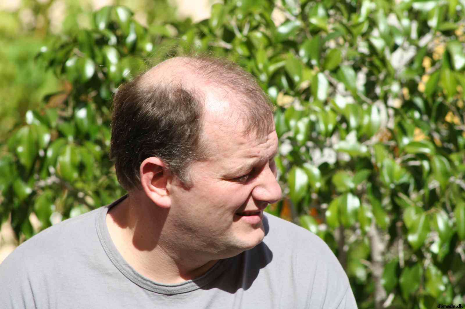 * Image 40