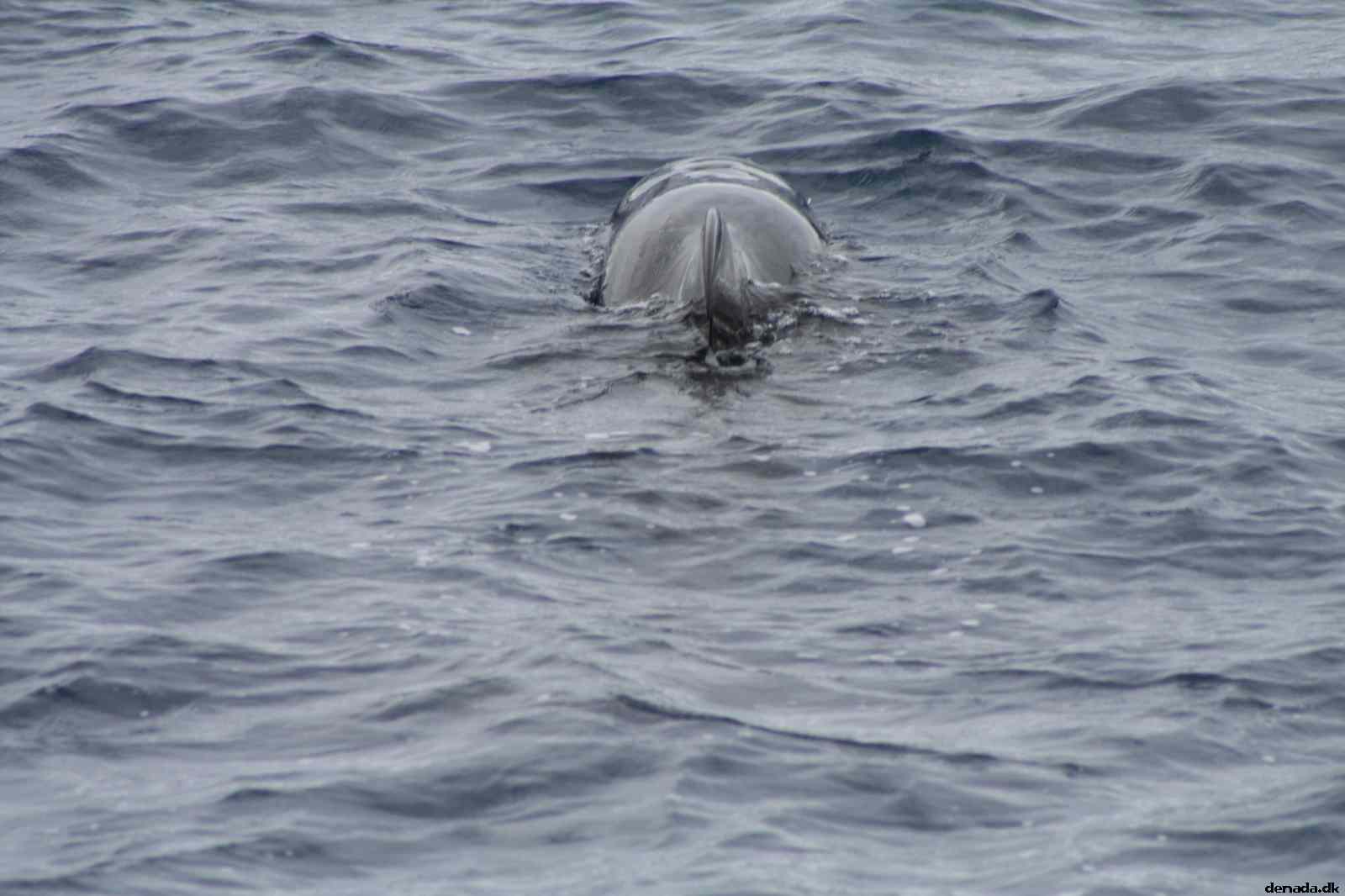 * Image 472