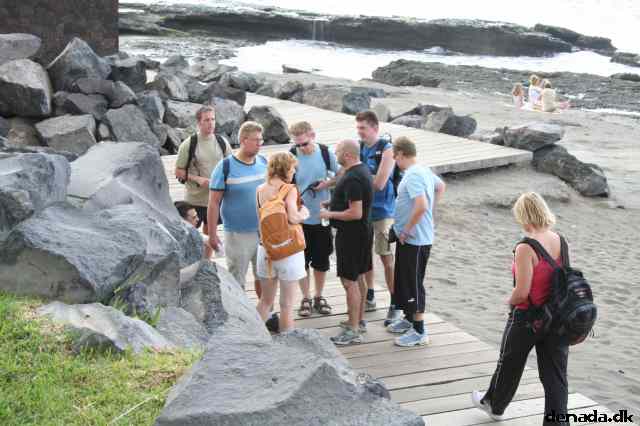 * Image 448