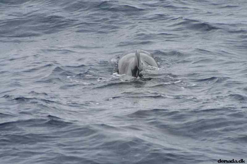 * Image 471