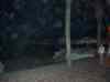 014.jpg - 2006:01:23 19:10:55