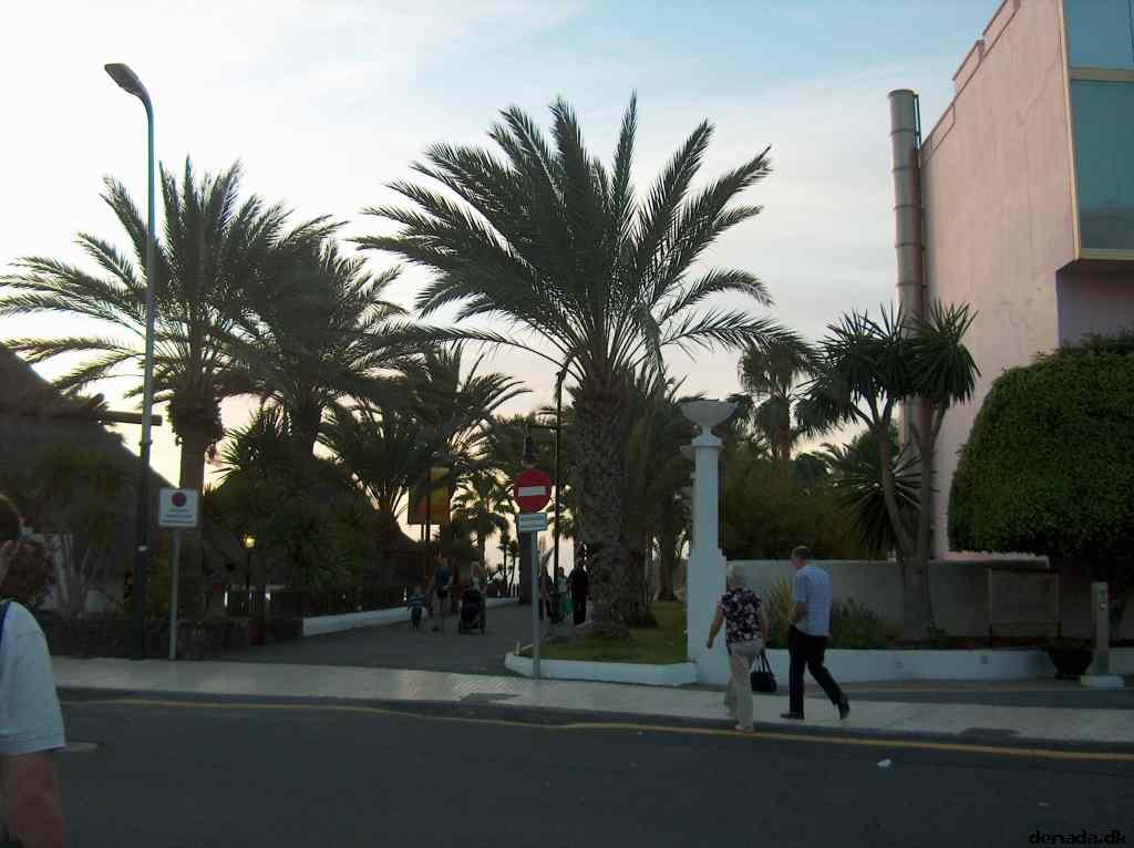* Image 7