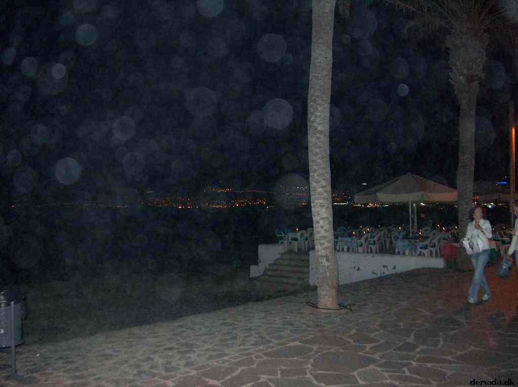 * Image 14