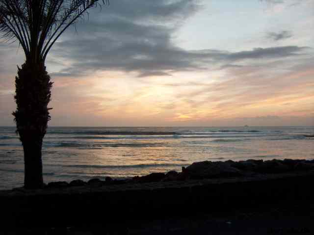 * Image 10