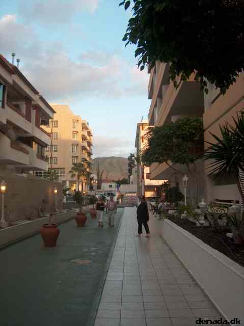 * Image 12