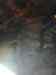 021.jpg - 2006:01:25 20:05:51