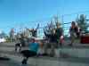 031.jpg - 2006:01:26 16:52:57