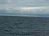 054.jpg - 2006:01:27 14:39:20