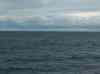 055.jpg - 2006:01:27 14:39:30