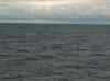 056.jpg - 2006:01:27 14:39:49