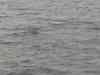 045.jpg - 2006:01:27 14:41:29