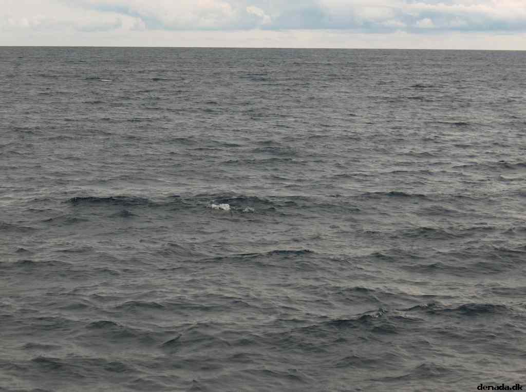 * Image 45