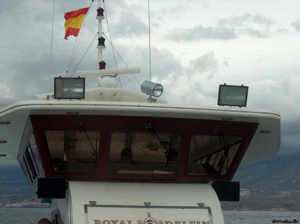 * Image 28