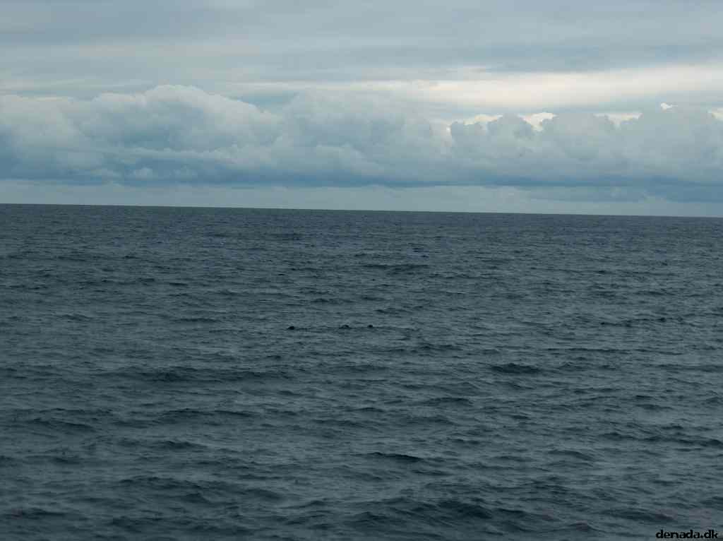 * Image 46