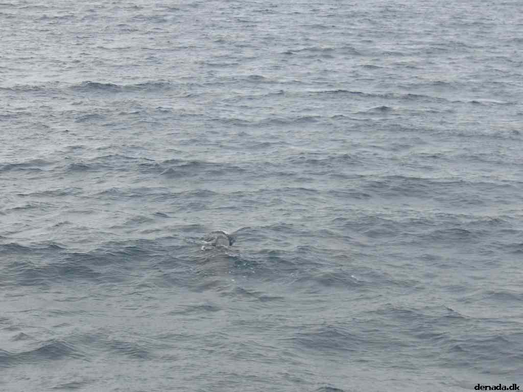 * Image 34