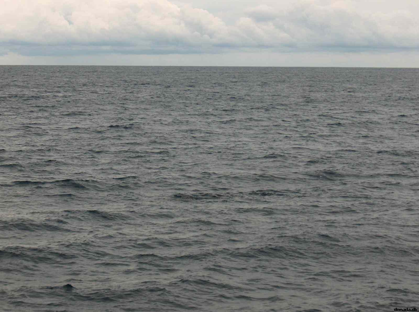* Image 31