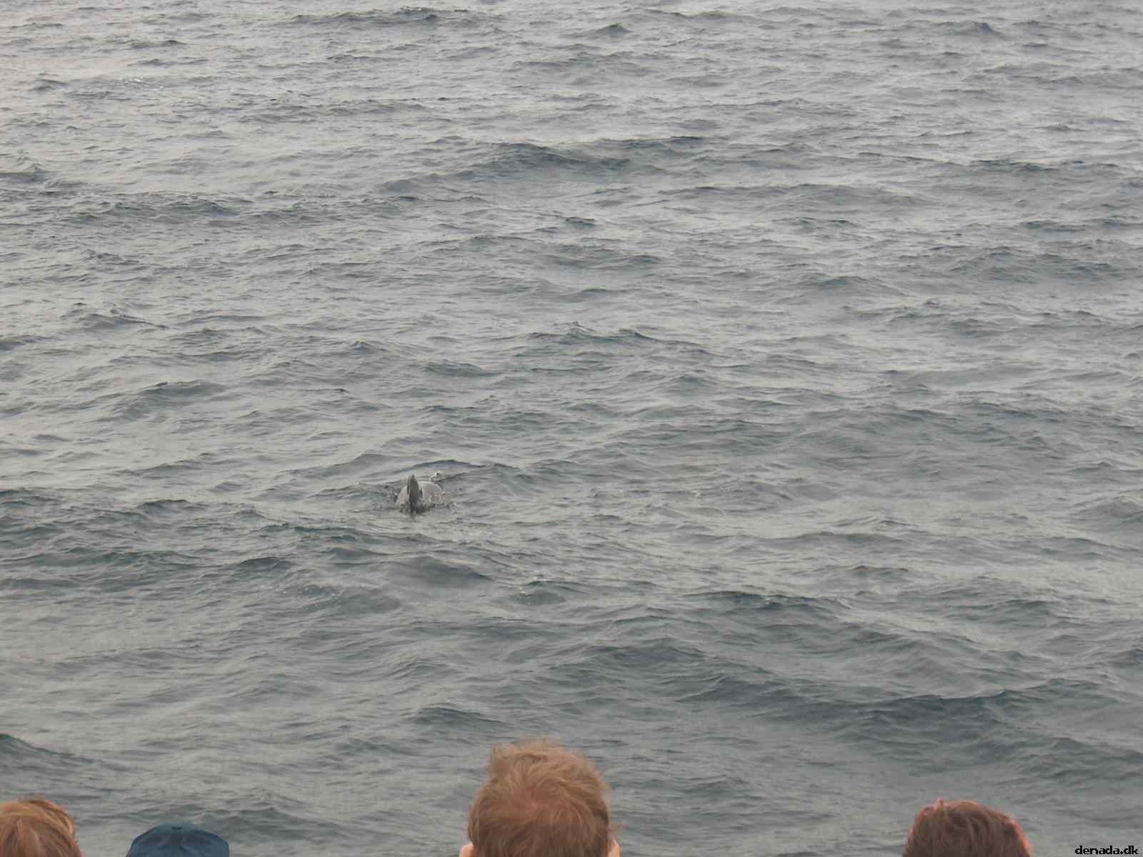 * Image 30