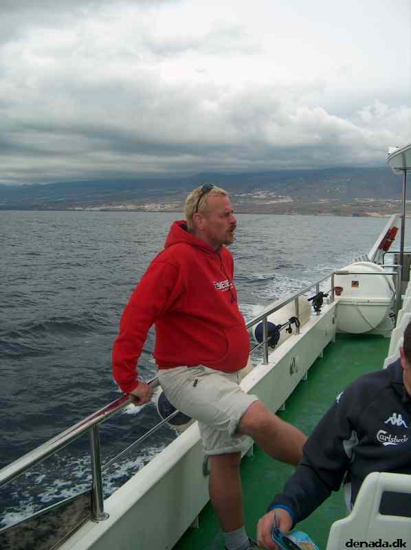 * Image 24