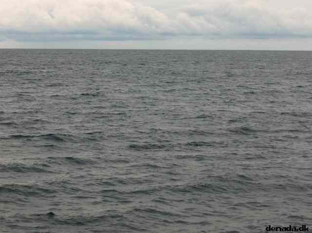 * Image 31