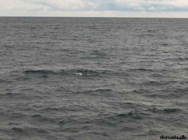 * Image 45