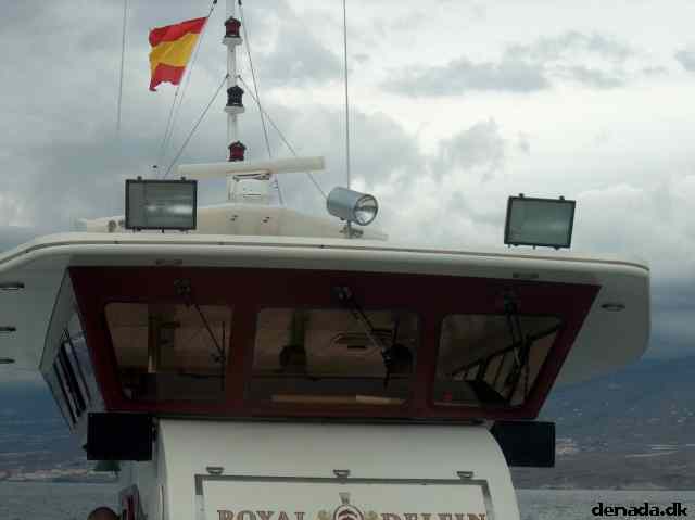 * Image 28