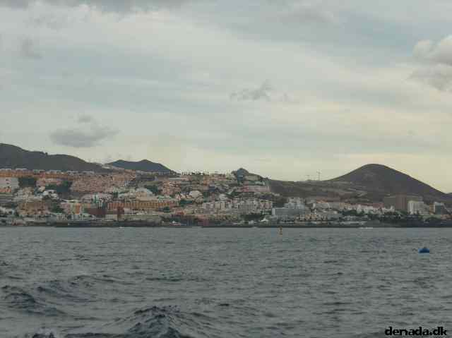 * Image 50