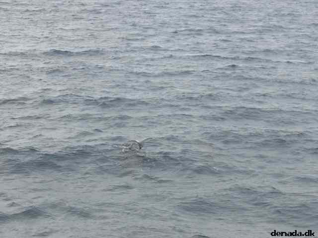 * Image 34
