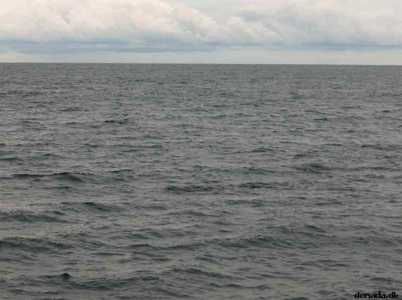 * Image 31