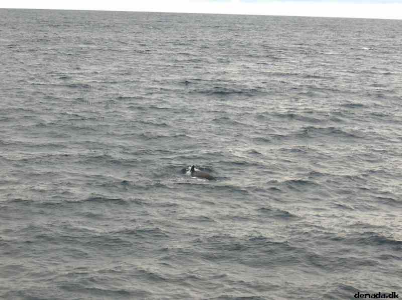 * Image 39