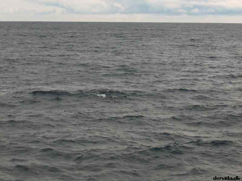 * Image 45