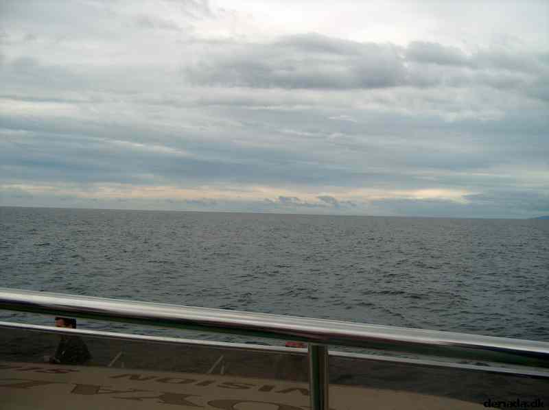 * Image 23