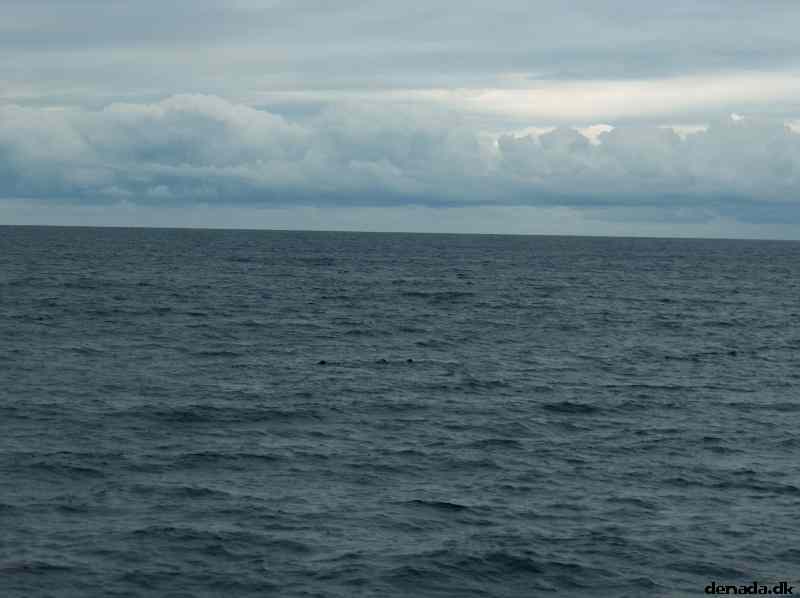 * Image 46