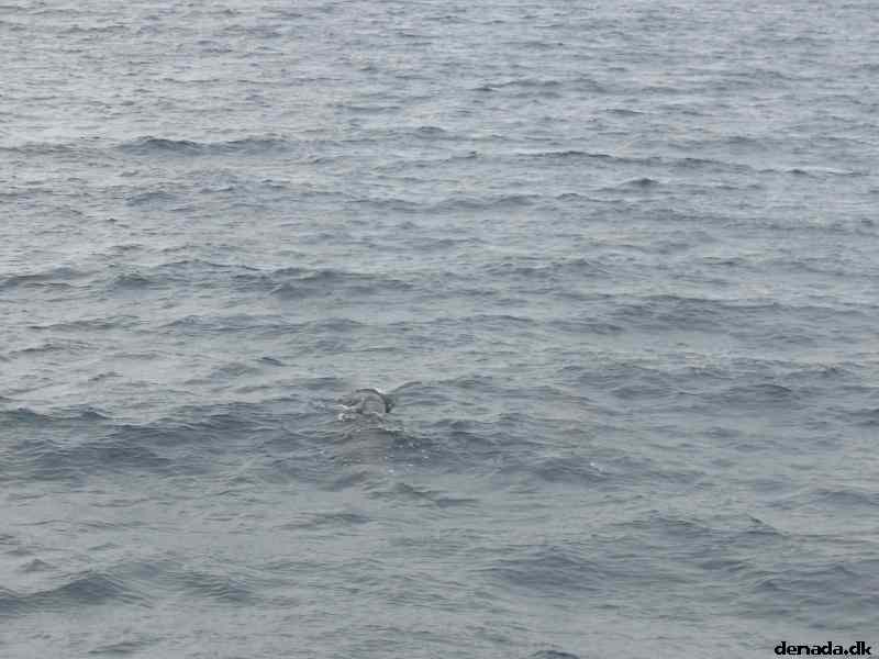 * Image 34