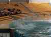 061.jpg - 2006:01:28 14:08:29