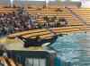 066.jpg - 2006:01:28 14:10:59