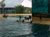 067.jpg - 2006:01:28 14:12:16