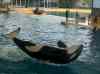 069.jpg - 2006:01:28 14:13:00