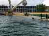 070.jpg - 2006:01:28 14:13:57