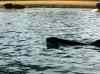 079.jpg - 2006:01:28 14:18:35