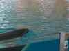 081.jpg - 2006:01:28 14:21:38