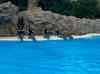 086.jpg - 2006:01:28 14:45:42