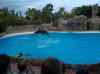 090.jpg - 2006:01:28 14:46:50