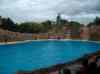 099.jpg - 2006:01:28 14:50:46