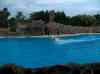 100.jpg - 2006:01:28 14:50:54
