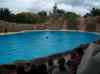 109.jpg - 2006:01:28 14:55:57