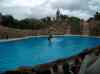 110.jpg - 2006:01:28 14:56:15