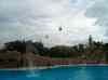 112.jpg - 2006:01:28 15:00:26