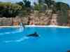 118.jpg - 2006:01:28 15:04:43
