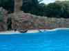 120.jpg - 2006:01:28 15:05:16